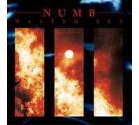 Numb Wasted Sky (Vinyl) Limited 12" Album (Importación USA)