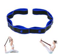 Numbered Resistance Band, Fitness Resistance Band for Stretching and Yoga, Fashion Puller Exercise, 8-Section Elastic Training Bands for Full Body Stretching Shaping (Blue)