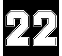 Números 22 Pegatinas Decoración De Coche Piezas Exteriores Protector Solar Y Calcomanías Impermeables Cubierta Arañazos Monos