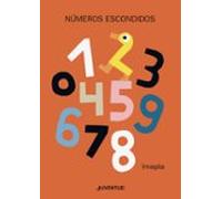 Numeros Escondidos
