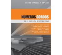 Números Gordos en el proyecto de estructuras – Edición corregida y ampliada (1)