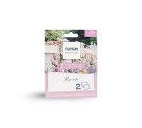 Nuncas Sobre Perfumado - Cajones - Rosa - 2 Piezas