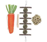 NUOBESTY 4piezas Rama De Fruta Dentición para Hámsteres Juguetes Masticables De Madera para Conejos y Cobayas para Mascotas para Morder y Jugar La Jaula