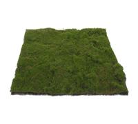 NUOBESTY Césped Artificial Verde de Espuma Flocada para Maquetas y Dioramas | Ligero, Fácil de Cortar y Dar Forma, Textura Realista, para Bases, Micro Paisajes y Decoración Creativa