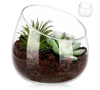NUOBESTY Jarrón de Cristal Biselado para Plantas Suculentas, Maceta Pequeña para Terrarios Diámetro de 12 CM, Adecuado para Centros de Mesa y Espacios Naturales