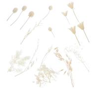 NUOBESTY Kit de Decoración Flores Secas Naturales Prensadas para Manualidades DIY Material para Hacer Decoraciones y Cuadros Flores Inmortalidad Reales para San Valentín Decoración del