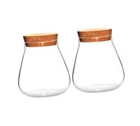 NUOBESTY Mini Jarrón Hidropónico de Vidrio Tapón de Corcho para Maceta de Exhibición, Terrario Transparente Ecológico para Plantas, Set de 2 Unidades, Adecuado para Jardinería