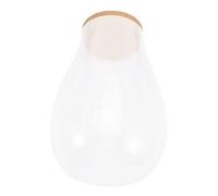 NUOBESTY para Plantas Hidroponía Botella Ecológica de Musgo con Tapón de Decoración Micro Paisaje Interior Contenedor de Plantas Bryophyte