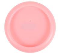 NUOBESTY Porta Agujas Magnético Pequeño Rosa, Estuche Organizador para Costura y Bordado, Alfiletero Portátil de Metal, Caja de Almacenamiento para Puntadas y Manualidades