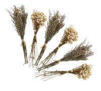 NUOBESTY Ramo de Flores Secas 6 Piezas Paniculata y Mil Estrellas Color Natural Decoración Creativa para Hogar y Accesorios para Fotos sin Necesidad de Agua ni Sol