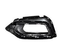 NUOSDEX Luz Antiniebla Luces Compatible Con Roewe I5 2019 2020 Marco Luz Antiniebla Parachoques Delantero Luz Antiniebla Marco Lámpara Antiniebla Frontal Plateado(Frame Left)