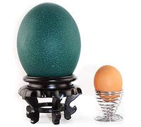 Nurnesy Soporte de Exhibición de Huevos de Avestruz, Artesanías Talladas, Base de Bandeja de Huevos de Avestruz, Adorno para Hogares u Oficinas, Alta Estabilidad (Negro)