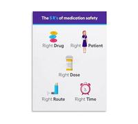 Nursing Fundamentals: 5 Rights of Medication Admin Canvas Poster, Wall Art for Medical School & Library(Framed,12x18inch(30x45cm))
