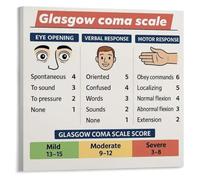 Nursing Student Guide Poster - Glasgow Coma Scale (GCS) Assessment Chart, Medical School & Nurse Office Decor(Framed,16x24inch(40x60cm))