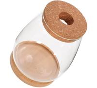 NUSITOU Juego de Florero Hidropónico de Vidrio Transparente con Bandeja de Bambú, Contenedor Natural para Plantas y Flores, Decoración Adecuado para Oficina y Hogar