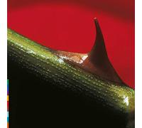 Nusrat Fateh Ali Khan And Michael Brook - Night Song [Vinilo]