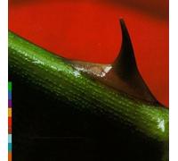 Nusrat Fateh Ali Khan & Micha - Night Song