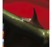 Nusrat Fateh Ali Khan & Michael Brook Night Song (CD) Album (Importación USA)