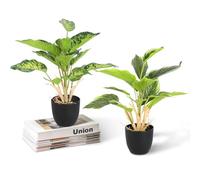 NUTKIT 2 Piezas Plantas Artificiales con Macetas, Plantas Falsas Simples, Fácil de Cuidar, para Interiores Exteriores Hogares Oficinas Jardines Escritorios, Verde Oscuro