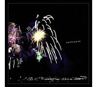 Nutrients - Different Bridges [Vinilo]