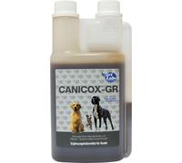 NutriLabs Canicox®-GR Suplemento alimenticio para Perros Mayores 500 ml - Complemento alimenticio para Perros Mayores con MSM, condroitina, glucosamina, Ginseng y Mucho más. Productos de Salud para