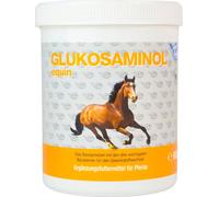 NutriLabs GLUKOSAMINOL EQUIN en Polvo para Caballos - 600 g NutriLabs