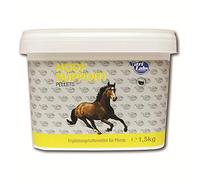 NutriLabs Hoof Support Pellets - Producto de Primera Calidad para Ayudar a los Caballos sanos con biotina, azufre orgánico (MSM), Zinc y Calcio. 3,0 kg