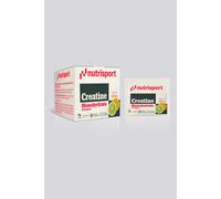 Creatina monohidrato + Nutrisport + Sobres 100 gr.