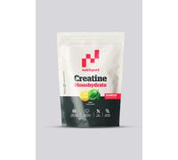 Nutrisport Creatina - Cítrico - Creatina 200 gr talla T.U.