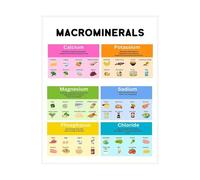 Nutrition Poster Vitamins and Minerals Educational Chart Essential Nutrients Guide with Food Sources for Classroom Kitchen School Wall Decor(Unframed,16x24inch(40x60cm))
