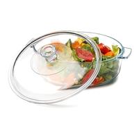 NUTRIUPS Cacerola pequeña de 1,7 L con tapa, apta para horno, 20 cm, de vidrio cubierto con tapa