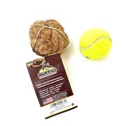 Nutties - Juguete de bola de cáscara de coco y cepillo de dientes mágico para perros y gatos (pequeño)