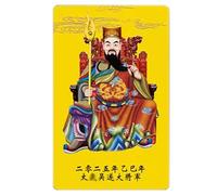 Nuyhgtr Feng Shui Amulet, 2025 Amulet Card, Lucky Charm Card, Snake Year Protection, Prosperity Support Card, Positive Energy Card, Feng Shui Card, Wealth Amulet Card for Holidays