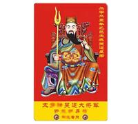 Nuyhgtr Feng Shui Amulet, 2025 Amulet Card, Lucky Charm Card, Snake Year Protection, Prosperity Support Card, Positive Energy Card, Feng Shui Card, Wealth Amulet Card for Holidays