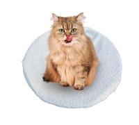 Nuyhgtr Indoor Cat Shelf, Cat Hammock Bed, Desk Cat Perch, Easy Setup Cat Bed, Space-Saving Cat Bed, 40 cm, Comfortable Indoor Cat Shelf Bed with Easy Setup for Your Cat’s Comfort