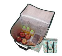 Nuyhgtr Insulated Cooler Bags, Non-Woven Fabric Insulation Pouch, Large Capacity Thermal Bag for Cake, Picnic, Drinks, Takeaway, Milk Tea, Daily Shopping, Gatherings, Green Color