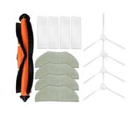 NVDERTA Compatible con Rowenta X-Plorer Serie 95 Total Care/Animal / RR7947WH / RR7975WH. Pieza Principal: Cepillo Lateral, Filtro y mopa.(Set D)