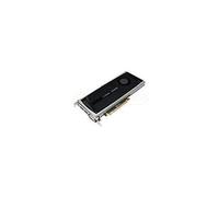 nVidia Quadro 4000 - Tarjeta gráfica (GDDR5 PCI-E, PCI, 2 Gb, 1 x puerto Dual Link DVI-I, 2 x DisplayPort 256 CUDA Cores, Dell P/N : 38XNM , 6WTYT , PXW7G, 731Y3)