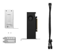 NVIDIA RTX 2000 Ada - Grafikkarten - NVIDIA RTX 2000 Ada - 16 GB GDDR6 - PCIe 4.0 x8 Low-Profile - 4 x DisplayPort