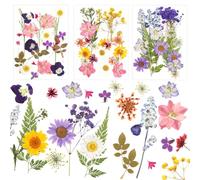 NVIYAM 66 Piezas Conjunto de Flores Secas Naturales Flores Prensadas Secas Naturales Flores Prensadas Reales Manualidades Flores Secas Prensadas Hojas Secas Mixtas DIY Flores Preservada para Resina