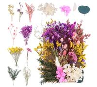 NVIYAM Flores Secas Naturales Flores Secas Prensadas Naturales Flores Secas Manualidades Flores Secas Bricolaje Mezclada Flore Prensada Decoraciones Flores Secas para Resina para Albumes de Recortes