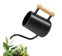NVIYAM Regadera pequeña de 1 l, regadera para plantas de interior con caño largo y cómodo mango de madera, regadera de acero inoxidable para plantas en maceta, suculentas, regadera de jardín negra