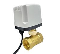 NVSFZGIYG 1/2" 3/4" 1" 2" Waterproof Motorized Ball Valve 220V 12V 24V Brass Electric Three Wire or Two