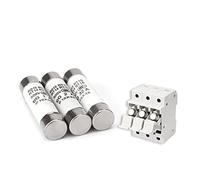 NVSFZGIYG 5 uds 10 * 38 Fusible de cerámica de soplado rápido 10x38mm Fusible 500V 0.5A 1A 2A 4A 5A 6A 8A 10A 16A 20A 32A RO15 RT18 RT14(0.5a)