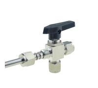 NVSFZGIYG Válvula de Bola 304, válvula Aguja Ajustable, 3, 6, 8, 10, 12mm, 1/8, 1/4, 3/8, 1/2, Ajuste virola compresión, Hilo Femenino Junta rápida(Ferrule Ball Valve-01,A-10mm)