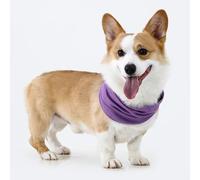 Nvzi Collar de enfriamiento para mascotas, tamaño L, color morado, bandana refrescante para perro, gato, bufanda transpirable para verano, 1 pieza
