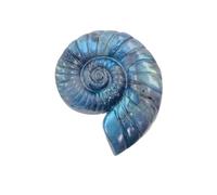 NWPNLXEA 1PC Labradorite Ammonite Carving Gorgeous Mystery Transform Flashy Crystal