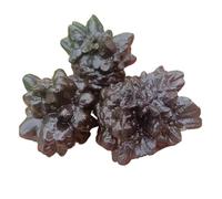 NWPNLXEA 40-50g Egyptian Prophecy Stone,Quartz Crystal Western Region Black Gold