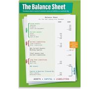 NWPNLXEA Financial Statements Poster - Balance Sheet Educational Wall Art for Business Class Decor Unframed,12x18inch(30x45cm)