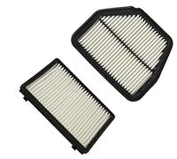 NWQZTS Kit de Filtro FILTRO DE AIRE FILTRO DE POLEN, para Chevrolet, para Captiva, 96628890 96440878 2006-2015 Filtro de aire del motor